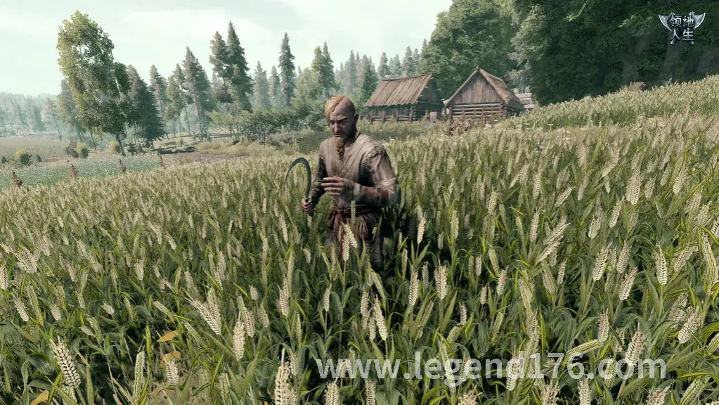 传奇, 进阶, 技能